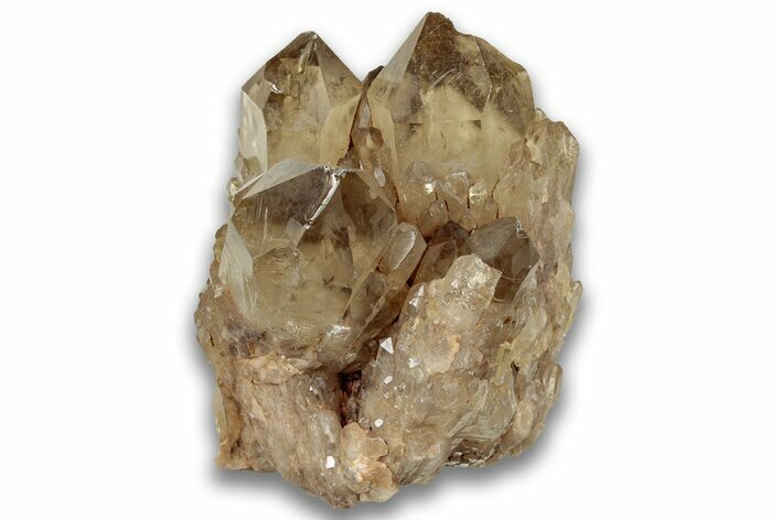 Smoky Citrine Crystal Cluster - Luena, DR Congo #324390